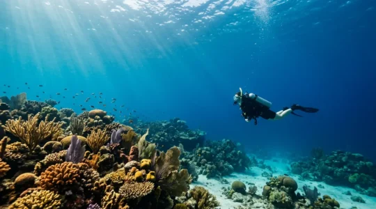 Plongeur débutant explorant les récifs coralliens dans les eaux cristallines de La Réunion