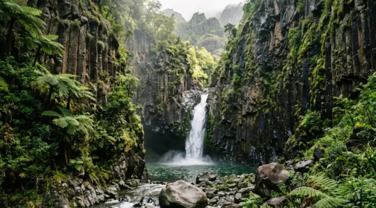 Canyon encaissé de La Réunion avec cascade et orgues basaltiques dans une forêt tropicale luxuriante
