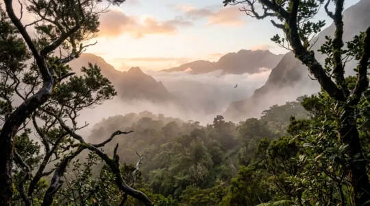 Observation d'oiseaux endémiques dans la forêt tropicale de La Réunion